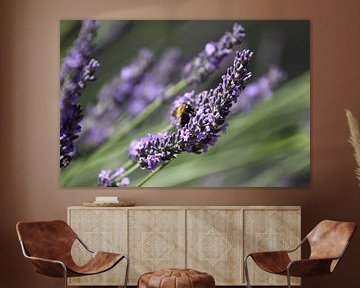 Bee on lavender by Cora Unk