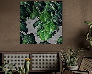 GATENPLANT monstera deliciosa