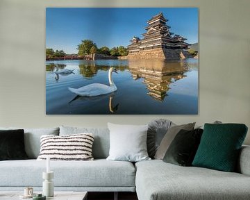 Des cygnes au château de Matsumoto à Nagano (Japon). sur Claudio Duarte