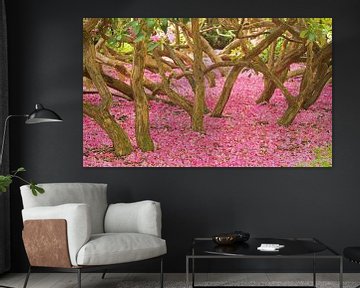 Pink Forest van Miranda Bos