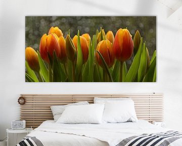 spring : tulips sur Yvonne Blokland