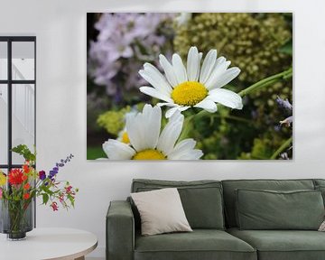 Margrieten in de zomerzon van Lotte Veldt