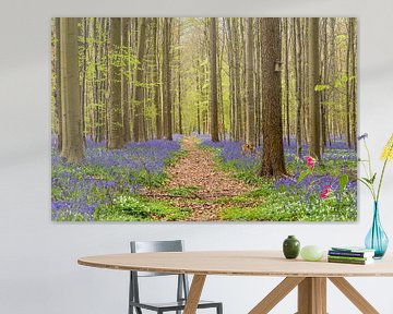 Spring forest with wild hyacinths by Elles Rijsdijk