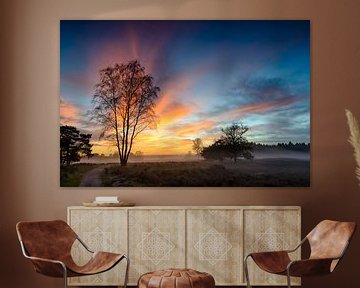 Colorful winter sunset over the plains in nature by Sjoerd van der Wal Photography