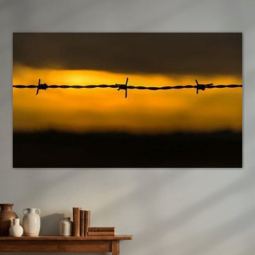 Zonsondergang prikkeldraad 