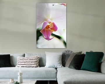 Roze orchidee van Madelon Thijs