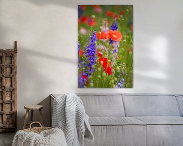 Veldbloemen rood en blauw van Yvonne van der Meij