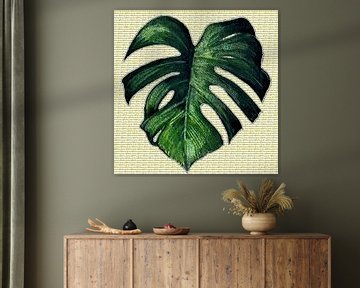 monstera im Text