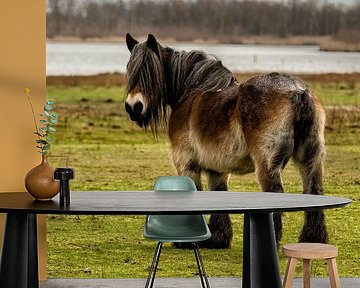 Het Belgisch trekpaar in de Brabantse Biebosch