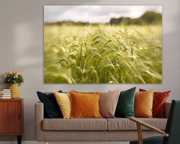 Grain fields by Marian Steenbergen