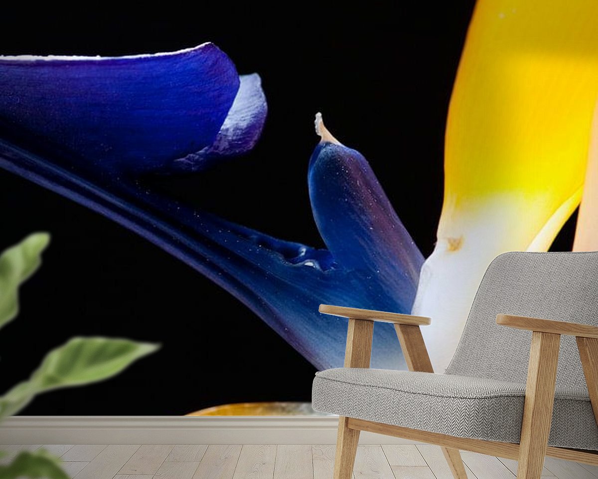Raumvorschau