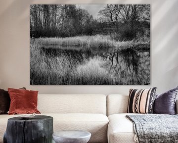 Teich im Staelduinse Wald (schwarz/weiß)