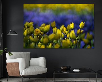 Tulpen in geel en paars van Gerda Hoogerwerf