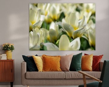 Weiße Tulpen von Gerda Hoogerwerf