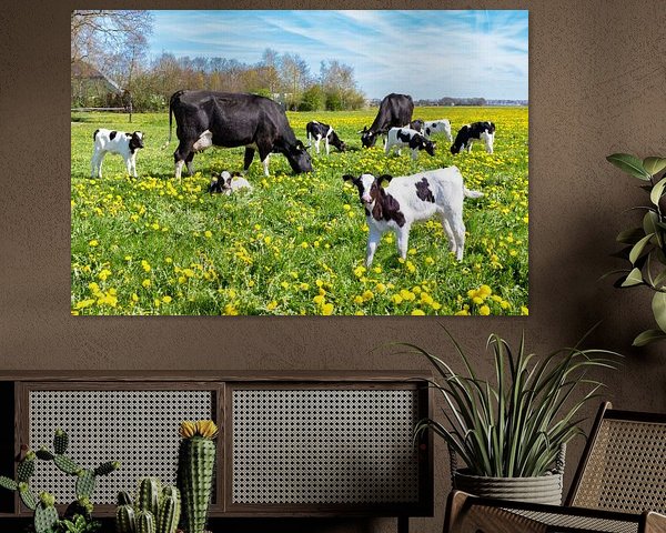 Weiland vol paardenbloemen met bonte koeien en kalfjes