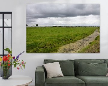 Hollands polder landschap. van Rijk van de Kaa