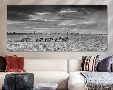 Konikpferde im Lauwerssee in Holland von Peter Bolman