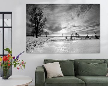Dutch winter landscape in black & white van Peter van Eekelen