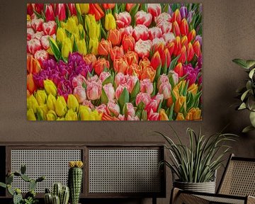 Abstract tulips sur eric van der eijk