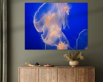 Jellyfish in the blue sur Marjoleine Roos