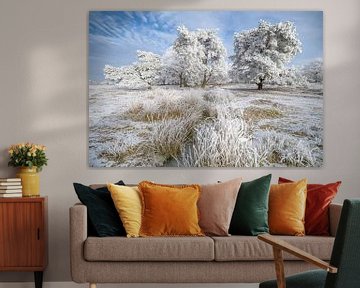 Hoarfrost trees in wintry landscape von Peter Bolman
