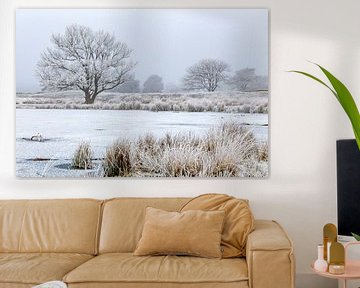 Hoarfrost trees in wintry landscape von Peter Bolman