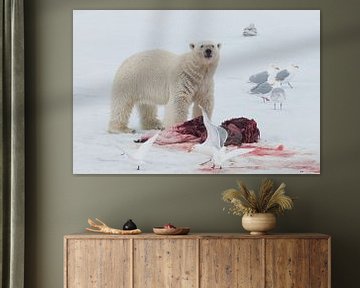 Polar Bear and  Gulls by Peter Zwitser