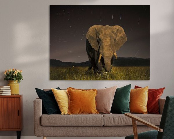 Éléphant de Tanzanie