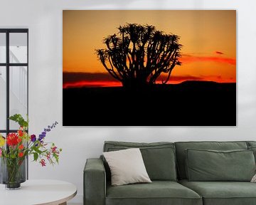 NAMIBIA ... Quiver Tree Sunset von Meleah Fotografie