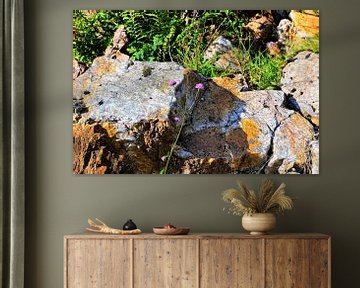 Schotland, rotsen in de Hooglanden by Marian Klerx