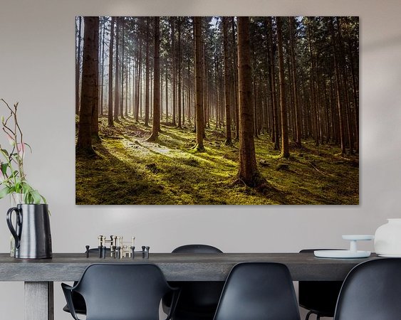 Voorbeeld van het werk in een kamer