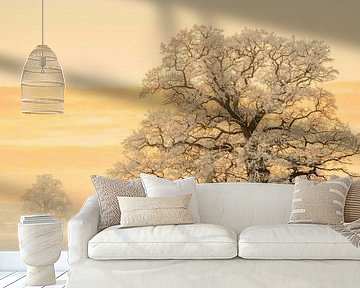 Winter Light by Lars van de Goor