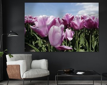 tulpen  sur Kerstin Lotze