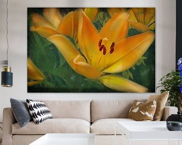 orange lily by eric van der eijk