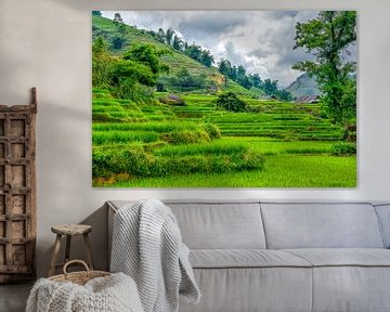 Rice fields in SaPa, Vietnam by Richard van der Woude