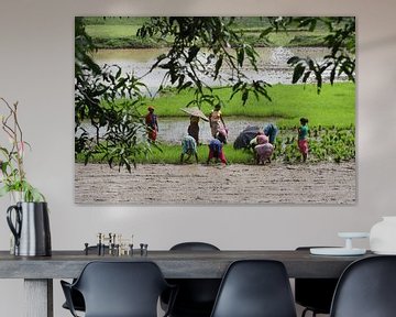 Women planting rice by Cora Unk