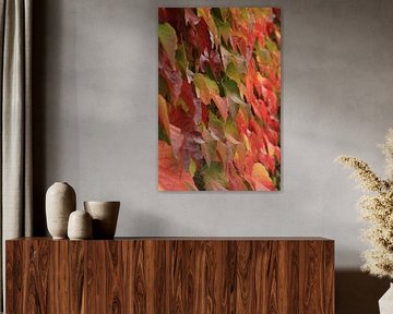 Bladerendek in herfstkleuren