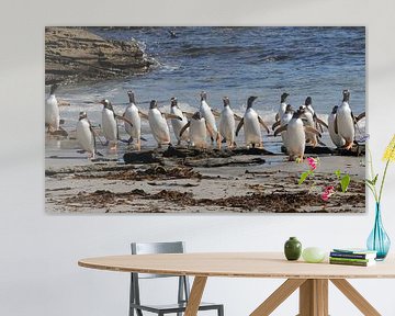 Pinguins aan de wandel  van Peter Zwitser