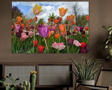 Tulpen von Anita van der Wiel
