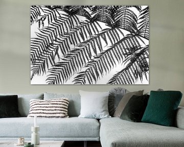 Fern, black and white by Rietje Bulthuis