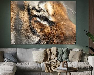 Siberische tijger van Atelier Liesjes