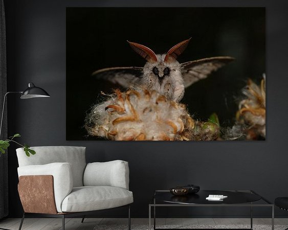 Raumvorschau