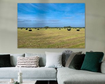 Meadow with blue sky and hay bales