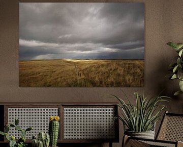 Donkere lucht boven de duinen sur Margreet Frowijn