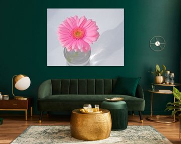 Gerbera by Ronald Smits