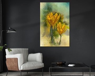 Crocuses in bloom sur Harry Stok