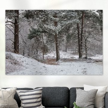 White Forest
