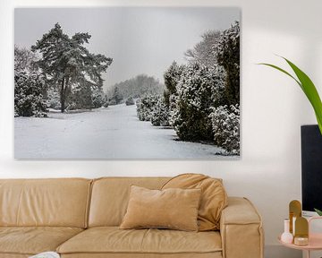 Pine Tree Winter van William Mevissen