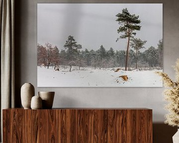 Pine Trees In The Snow van William Mevissen