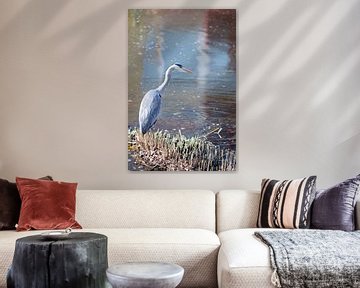 Blauwe reiger op uitkijk van lendyfotografie.werkaandemuur,nl